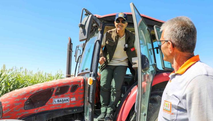 Niğde’de sorgum-sudan otunun hasadı yapıldı