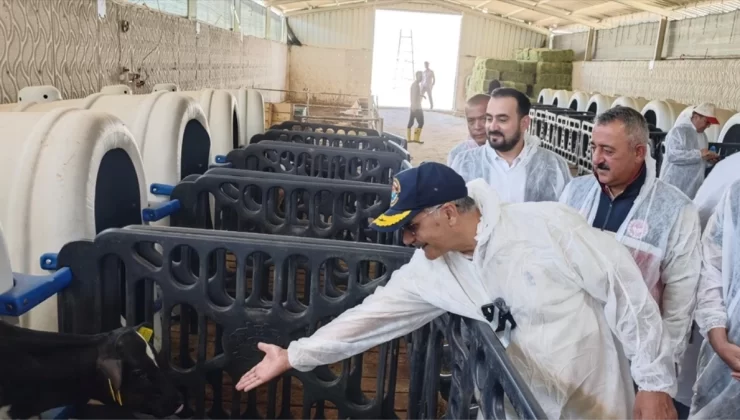 Niğde’de TAKEP kapsamında yem bitkisi hasadı yapıldı