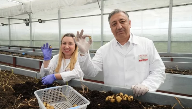 Patates Araştırma Enstitüsü’nden yerli patates çeşitleri çiftçilere sunuldu